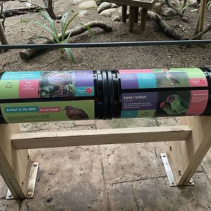 New Signage in the Blackburn Pavilion Walkthrough