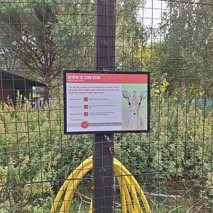 Kirk's Dik Dik signage- 19th August 2024
