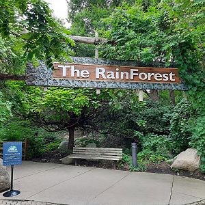 The RainForest - Trail Sign