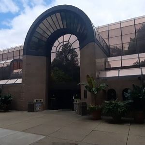 The RainForest - Exterior