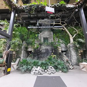 The RainForest - Atrium
