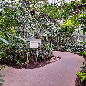 The RainForest - Medicine Trail Entrance