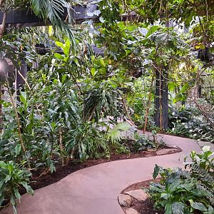 The RainForest - Medicine Trail Pathway