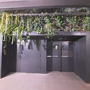 The RainForest - Lower Forest Entrance