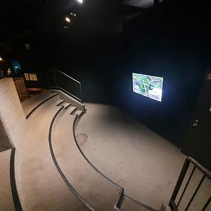 The RainForest - Theater