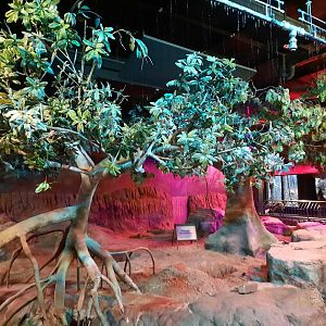 The RainForest - Stormy Island