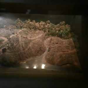 The RainForest - Deforestation Display