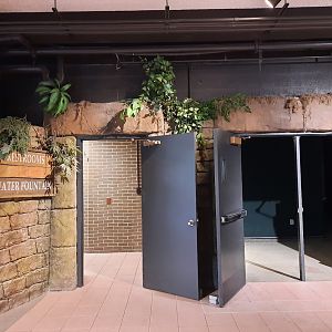 The RainForest - Lower Forest Exit and Restrooms