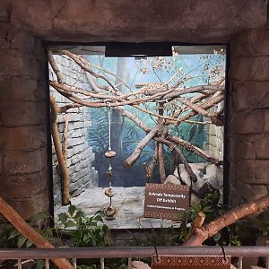 The RainForest - Empty Primate Exhibit