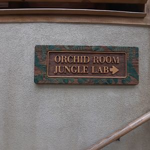 The RainForest - Orchid Room