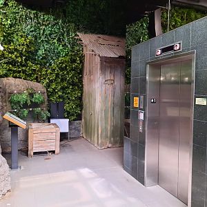 The RainForest - Elevator