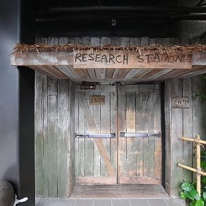 The RainForest - Upper Forest Entrance