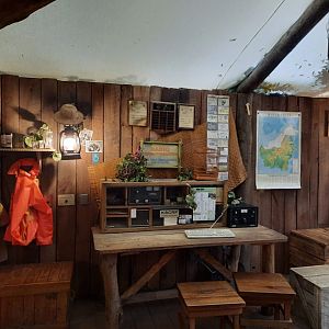 The RainForest - Radio Communication Display