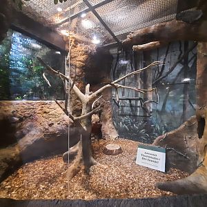 The RainForest - Prevost Squirrel Exhibit