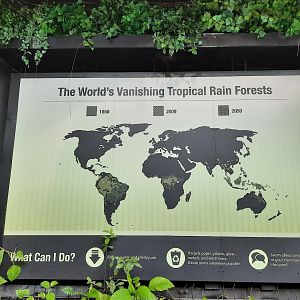 The RainForest - Vanishing Forest Sign