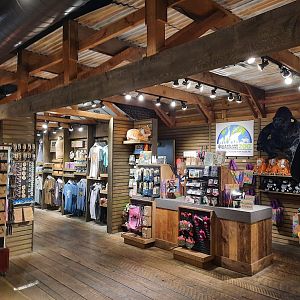 The RainForest - Amazon Marketplace