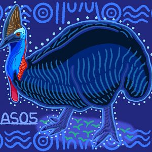 Southern Cassowary