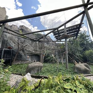 Outdoor Lemur Habitat