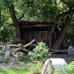 New Bald Eagle Coverage