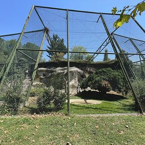 Northern bald ibis aviary