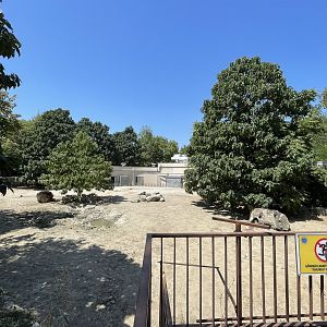 Southern white rhinoceros exhibit