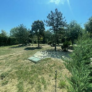 Spotted hyena exhibit