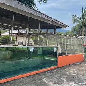 Reticulated Python Exhibit