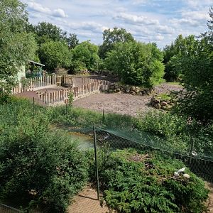 View of rhinoceros enclosure and bird aviary