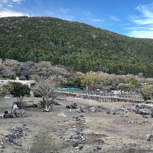 Hervivore Mixed Exhibit