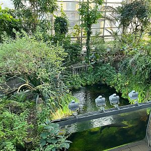 Butterfly Dome and Fish Tank