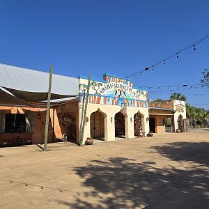 Plaza near lions and giraffe