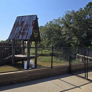Alligator show "stage" area
