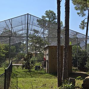 Walk through Aviary exterior