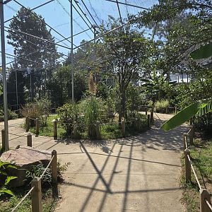 Walk through Aviary interior