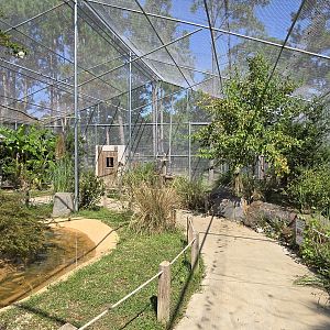 Walk through Aviary interior