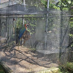 Macaw cages on exterior of walk through aviary