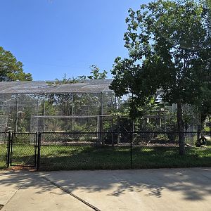 Macaw cages on exterior of walk through aviary