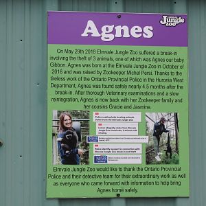 Agnes theft signage