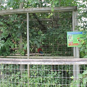 Red and Green macaw exhibit