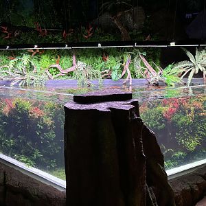 Aquascape Exhibit