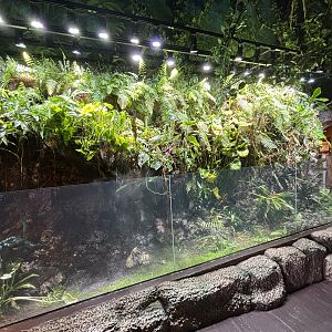 Living Wall Exhibit