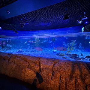 Ocean Currents Tank