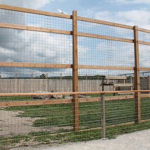 Bengal tiger exhibit