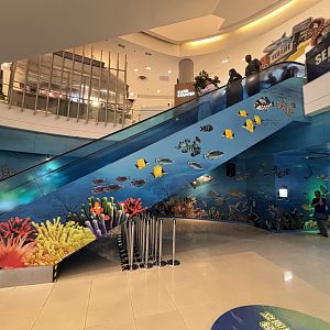 Escalator to Sea Life Aquarium