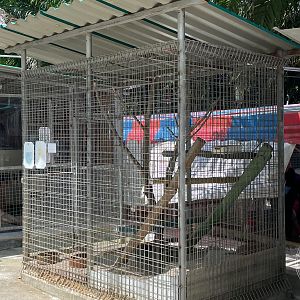 Large Bamboo Rat Enclosure