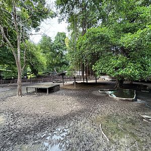 Javan Rusa Deer Exhibit - Lopburi Zoo