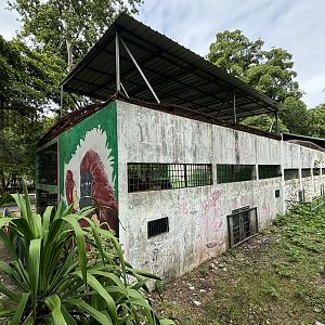 Orangutan Exhibit #1 - Lopburi Zoo