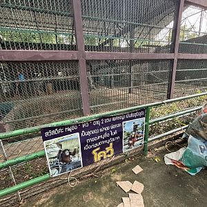 Orangutan Exhibit #2 - Lopburi Zoo