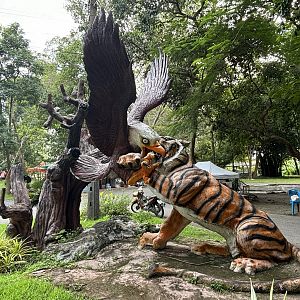 Bald Eagle v Tiger Sculpture - Lopburi Zoo