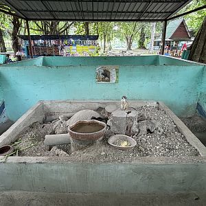Meerkat Exhibit - Lopburi Zoo